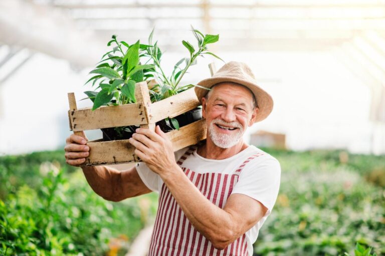 5 Summer Activities for Seniors